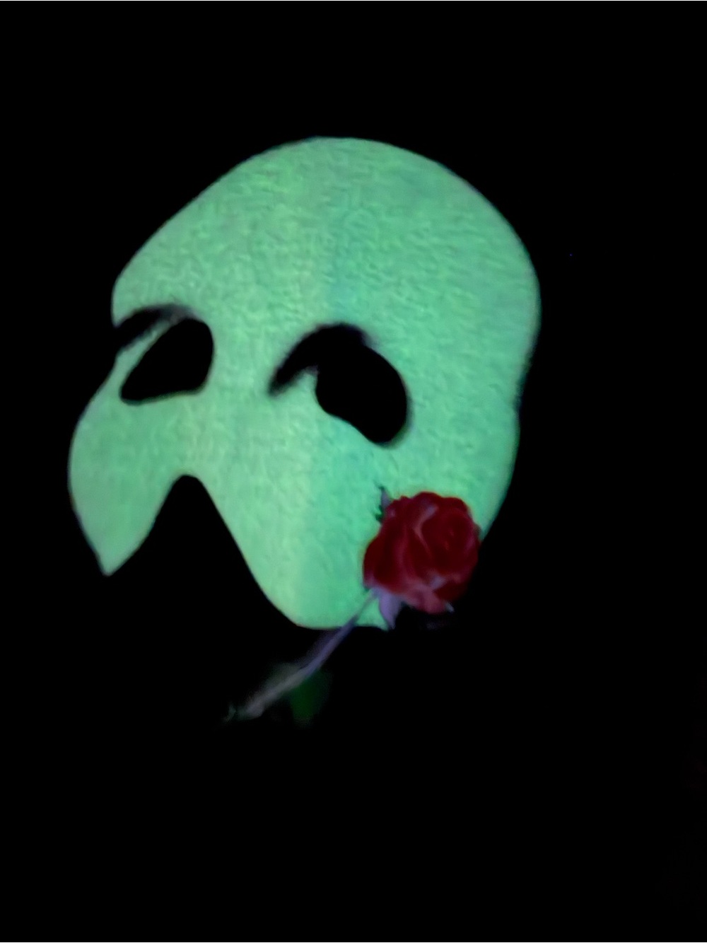 Phantom of the Opera T-Shirt Glow-in-the-Dark Phantom‎ Mask with Red Rose Accent
